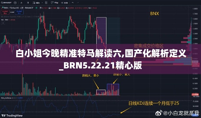 白小姐今晚精准特马解读六,国产化解析定义_BRN5.22.21精心版