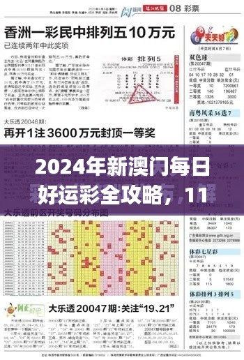 2024年新澳门每日好运彩全攻略，11月19日确诊详解及落实_KLT3.12.92精华版