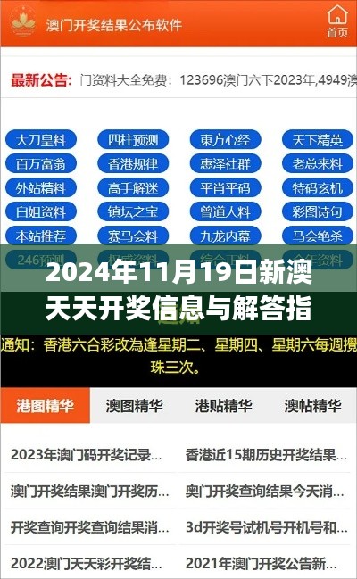 2024年11月19日新澳天天开奖信息与解答指南_VIF7.63.59稀有版