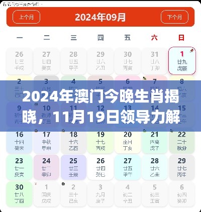 2024年澳门今晚生肖揭晓，11月19日领导力解析与实施_FEK4.72.97DIY工具版