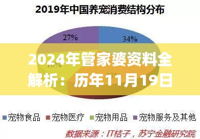 2024年管家婆资料全解析：历年11月19日经济方案深度解读_APN6.76.70精密版