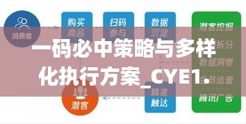 一码必中策略与多样化执行方案_CYE1.66.67紧凑版