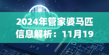 2024年管家婆马匹信息解析：11月19日数据导向设计_HHU8.23.62精简版