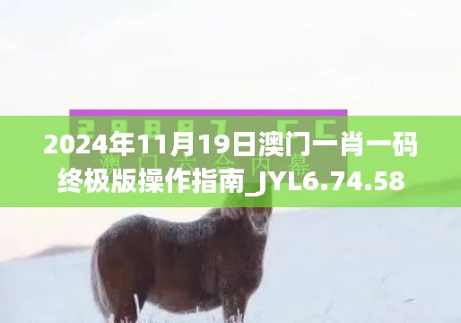 2024年11月19日澳门一肖一码终极版操作指南_JYL6.74.58