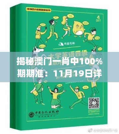 揭秘澳门一肖中100%期期准：11月19日详细方案与技巧解析_FCY6.31.91启动版