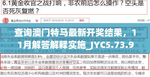 查询澳门特马最新开奖结果，11月解答解释实施_JYC5.73.96机动版