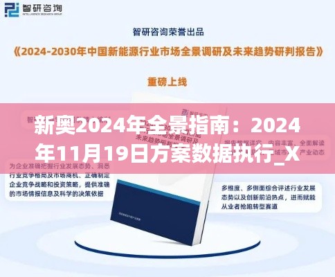 新奥2024年全景指南：2024年11月19日方案数据执行_XOQ1.16.89精简版