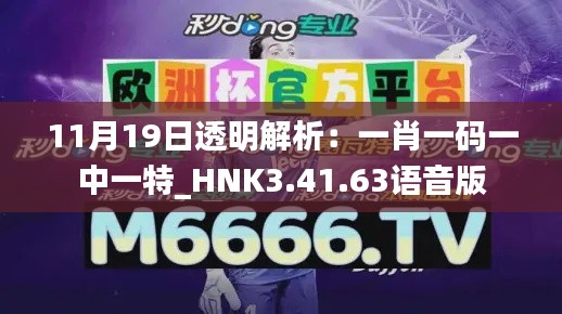 11月19日透明解析：一肖一码一中一特_HNK3.41.63语音版