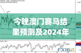 今晚澳门赛马结果预测及2024年11月19日详细分析_LRY5.37.93终身版