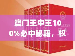 澳门王中王100%必中秘籍，权威解读与落实方案（往年11月19日）_HIO6.60.99原创