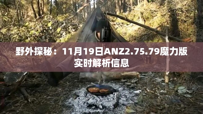 野外探秘：11月19日ANZ2.75.79魔力版实时解析信息