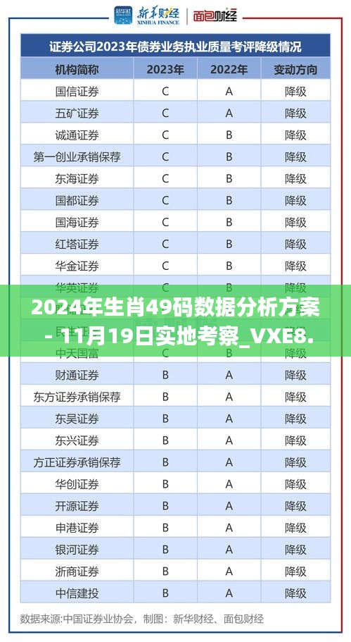 2024年生肖49码数据分析方案 - 11月19日实地考察_VXE8.69.32显示版