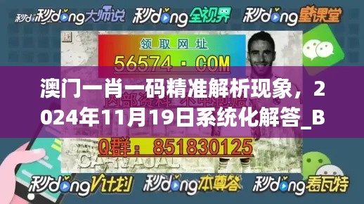 澳门一肖一码精准解析现象，2024年11月19日系统化解答_BMM3.28.66七天版