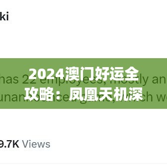 2024澳门好运全攻略：凤凰天机深度策略解析_11月19日_WCV8.65.81适中版