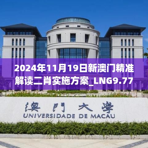 2024年11月19日新澳门精准解读二肖实施方案_LNG9.77.67版本