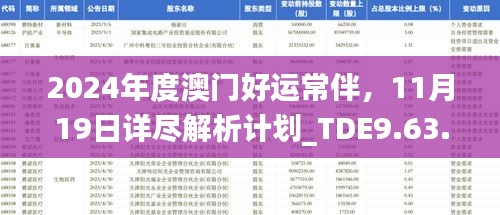 2024年度澳门好运常伴，11月19日详尽解析计划_TDE9.63.94投影版