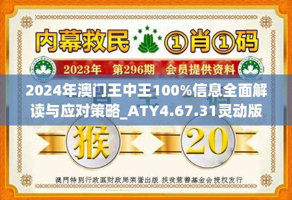 2024年澳门王中王100%信息全面解读与应对策略_ATY4.67.31灵动版