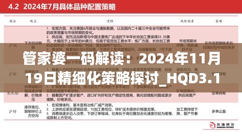 管家婆一码解读：2024年11月19日精细化策略探讨_HQD3.12.53紧凑版