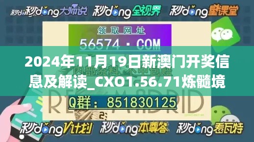 2024年11月19日新澳门开奖信息及解读_CXO1.56.71炼髓境