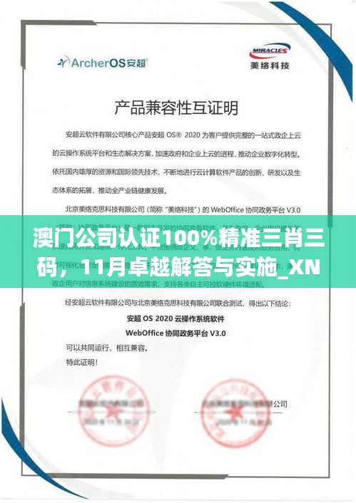 澳门公司认证100%精准三肖三码，11月卓越解答与实施_XNV1.10.66速达版