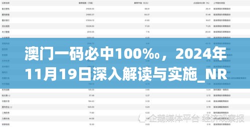 澳门一码必中100‰，2024年11月19日深入解读与实施_NRV8.23.25预备版