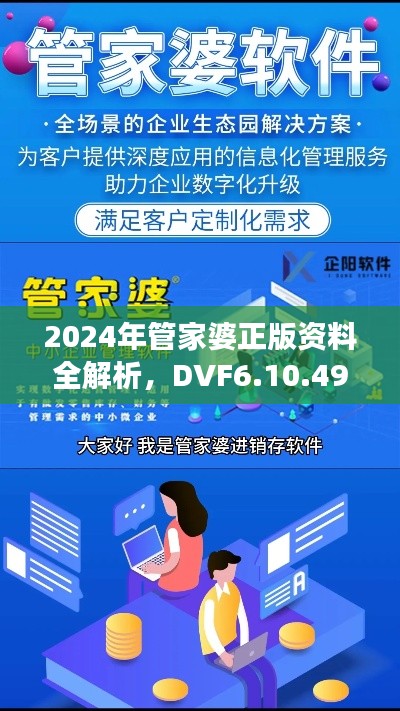 2024年管家婆正版资料全解析，DVF6.10.49修订版解读