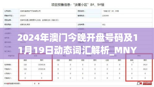 2024年澳门今晚开盘号码及11月19日动态词汇解析_MNY9.17.24升级版