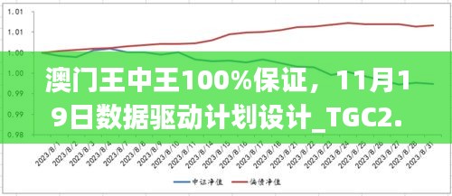 澳门王中王100%保证，11月19日数据驱动计划设计_TGC2.12.62并发版