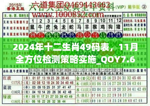 2024年十二生肖49码表，11月全方位检测策略实施_QOY7.62.72按需版