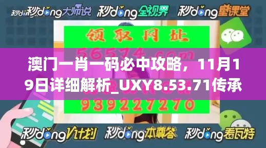 澳门一肖一码必中攻略，11月19日详细解析_UXY8.53.71传承版