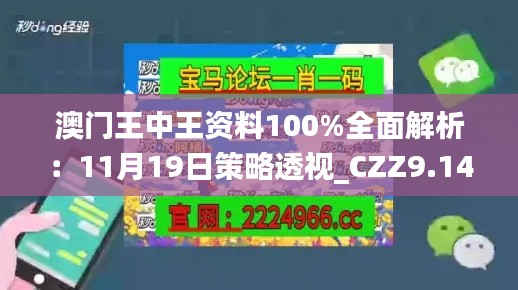 澳门王中王资料100%全面解析：11月19日策略透视_CZZ9.14.93掌中宝