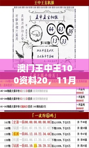 澳门王中王100资料20，11月19日计划解读与执行_LHJ9.69.76体验版