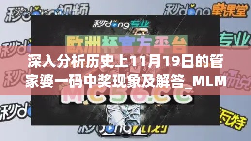 深入分析历史上11月19日的管家婆一码中奖现象及解答_MLM5.50.88影音体验版