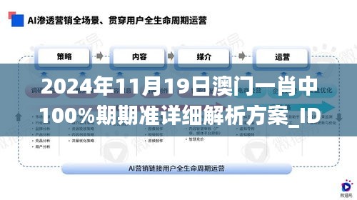 2024年11月19日澳门一肖中100%期期准详细解析方案_IDY1.28.83旗舰设备版