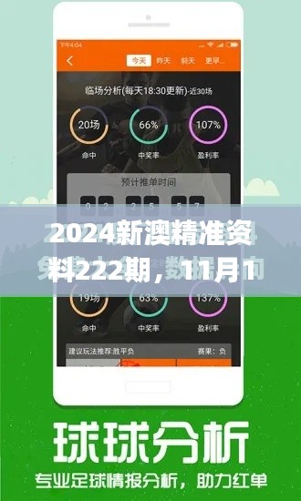 2024新澳精准资料222期，11月19日计划详解解答_WWF2.32.33大师版