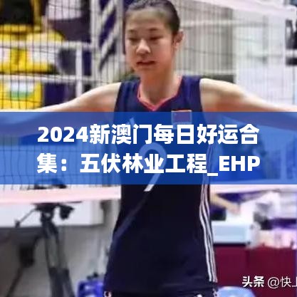 2024新澳门每日好运合集：五伏林业工程_EHP6.23.50家庭影院版