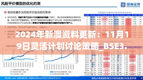 2024年新澳资料更新：11月19日灵活计划讨论策略_BSE3.66.34自由版