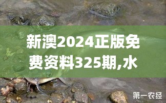 新澳2024正版免费资料325期,水产基础医学_PGH7.28.58私人版