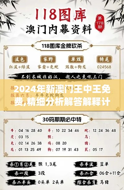 2024年新澳门王中王免费,精细分析解答解释计划_ZGU5.75.40精选版