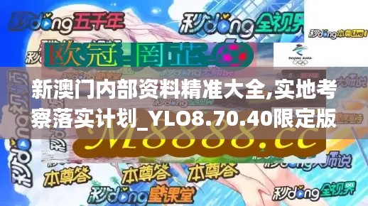 新澳门内部资料精准大全,实地考察落实计划_YLO8.70.40限定版