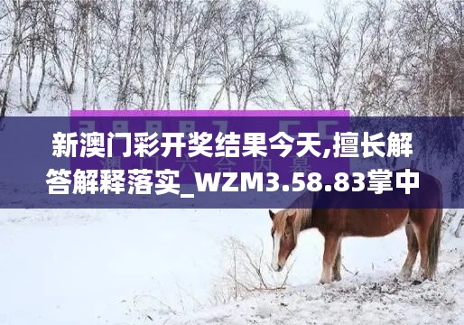 新澳门彩开奖结果今天,擅长解答解释落实_WZM3.58.83掌中宝