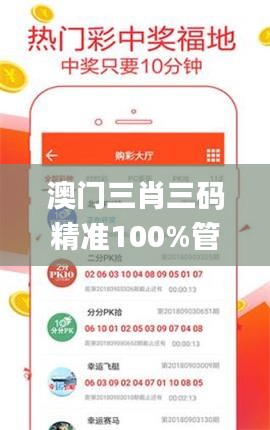 澳门三肖三码精准100%管家婆,反馈迅速策略研究_CTM1.59.43投资版