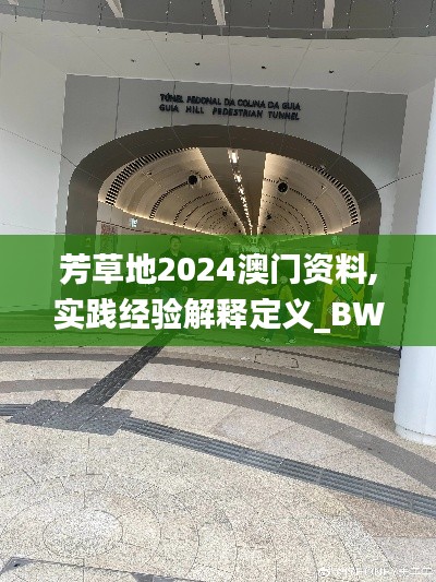 芳草地2024澳门资料,实践经验解释定义_BWE7.45.72演讲版