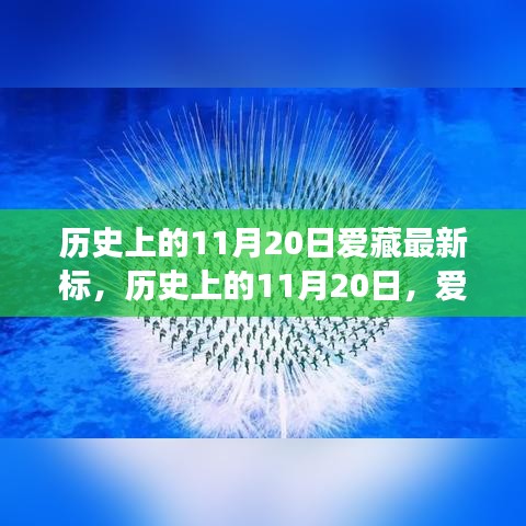 历史上的11月20日，爱藏新标的诞生与潜能激发的励志篇章