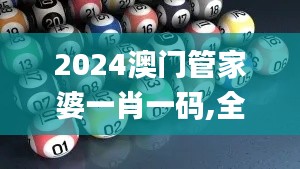 2024澳门管家婆一肖一码,全面解析解答解释现象_ZNG5.58.79数字处理版