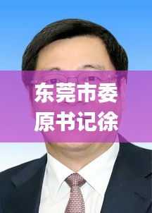 东莞市委原书记徐建华被查,诠释分析解析_AZK1.67.80权限版