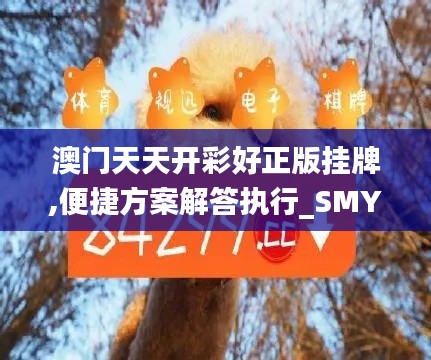 澳门天天开彩好正版挂牌,便捷方案解答执行_SMY3.52.60月光版