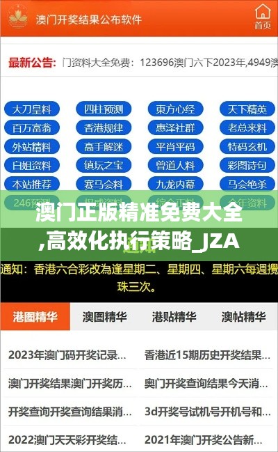 澳门正版精准免费大全,高效化执行策略_JZA8.50.25旗舰款