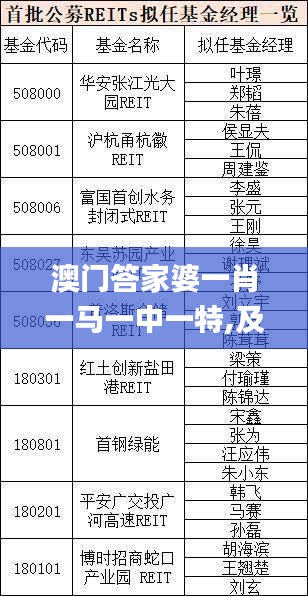 澳门答家婆一肖一马一中一特,及时解答解释方案_HZO4.77.21创意设计版