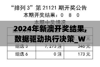 2024年新澳开奖结果,数据驱动执行决策_WDB7.72.58游玩版